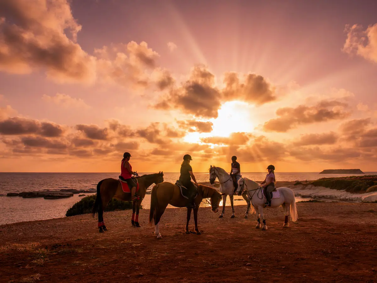 COCOtravel Zypern CapStGeorges Sapori Ausflug Ranch 2