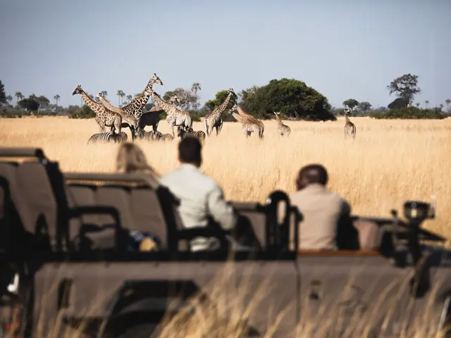 Tubu Tree Botswana Safari 2