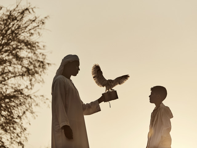 Ritz Carlton Al Wadi Desert 1