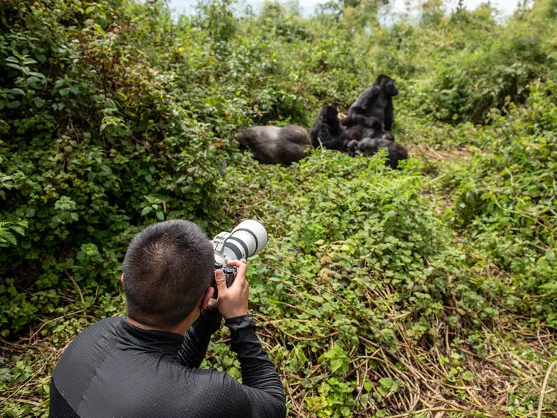 Wilderness Bisate Ruanda 3