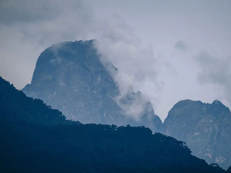 Wilderness Bisate Ruanda 5