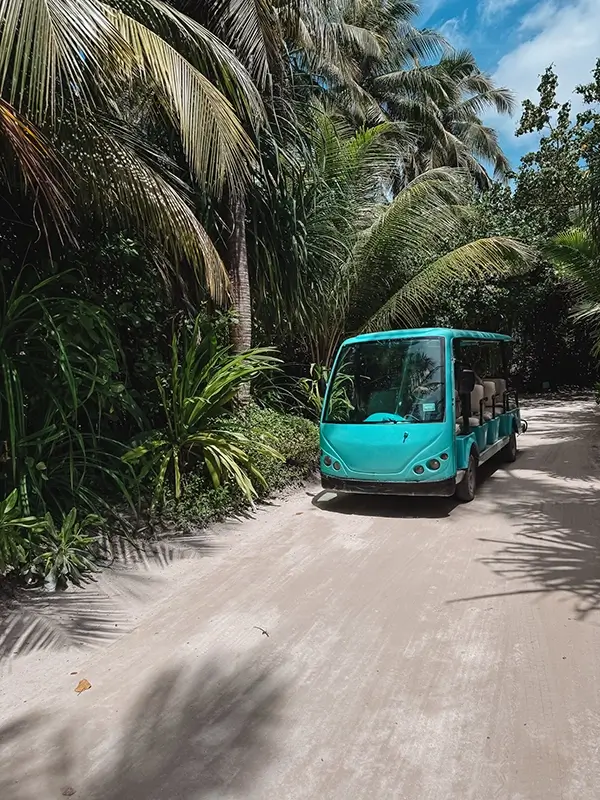 cocotravel kandima attraktionen 10 cocotravel kandima attraktionen 10