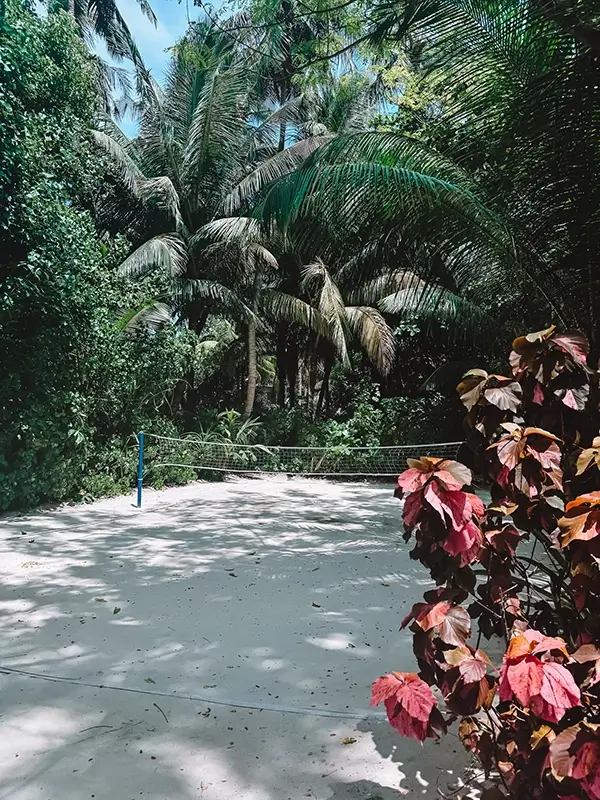 cocotravel kandima attraktionen 14 cocotravel kandima attraktionen 14