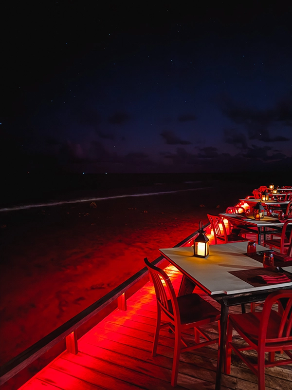 cocotravel kandima dinner 01 cocotravel kandima dinner 01