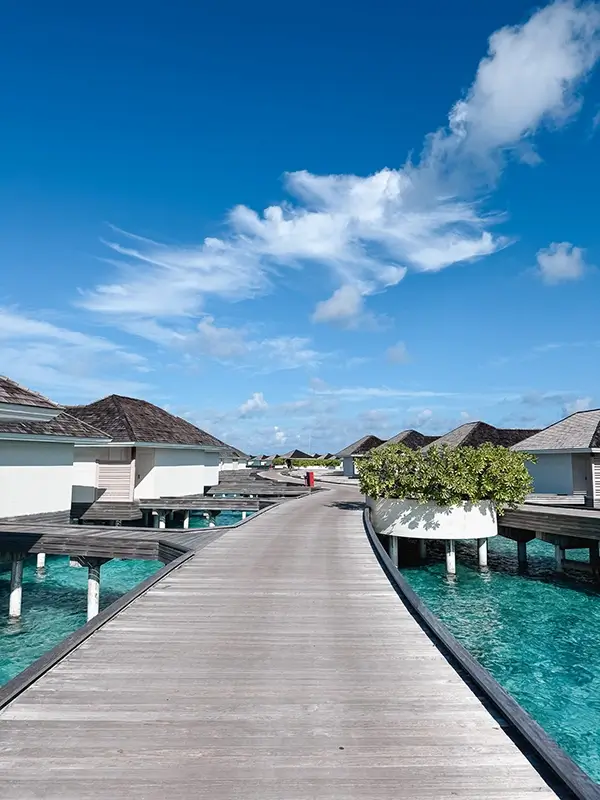 cocotravel kandima impressionen 05 cocotravel kandima impressionen 05