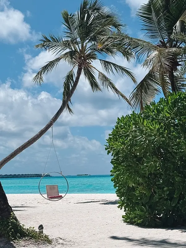 cocotravel kandima kandiland 09 cocotravel kandima kandiland 09