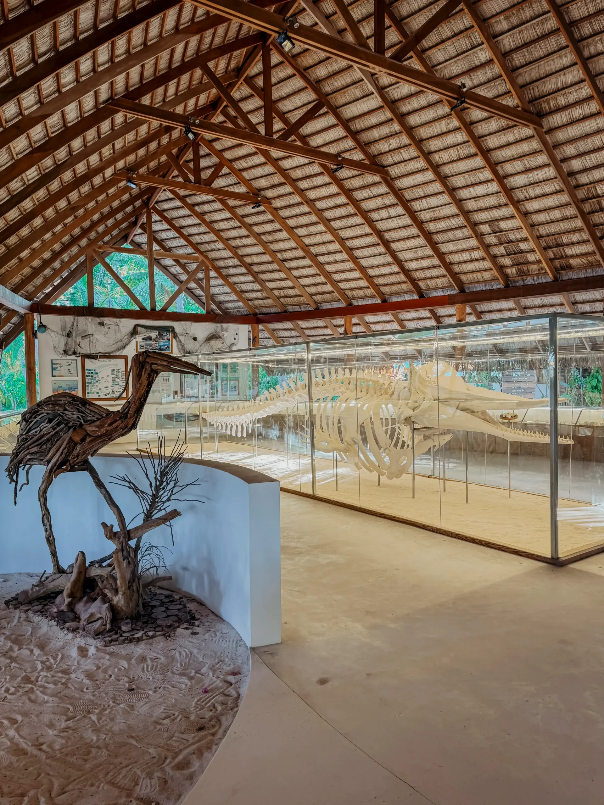 COCOtravel Malediven Kuramathi Natur scaled