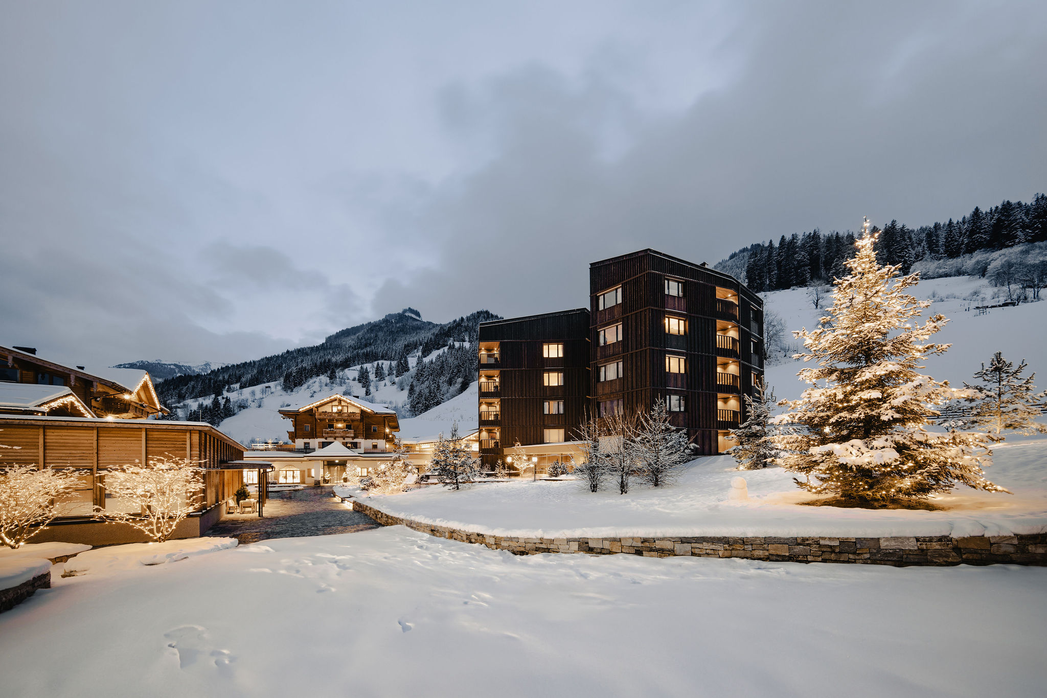 241220 moargut matthiaswarter 3