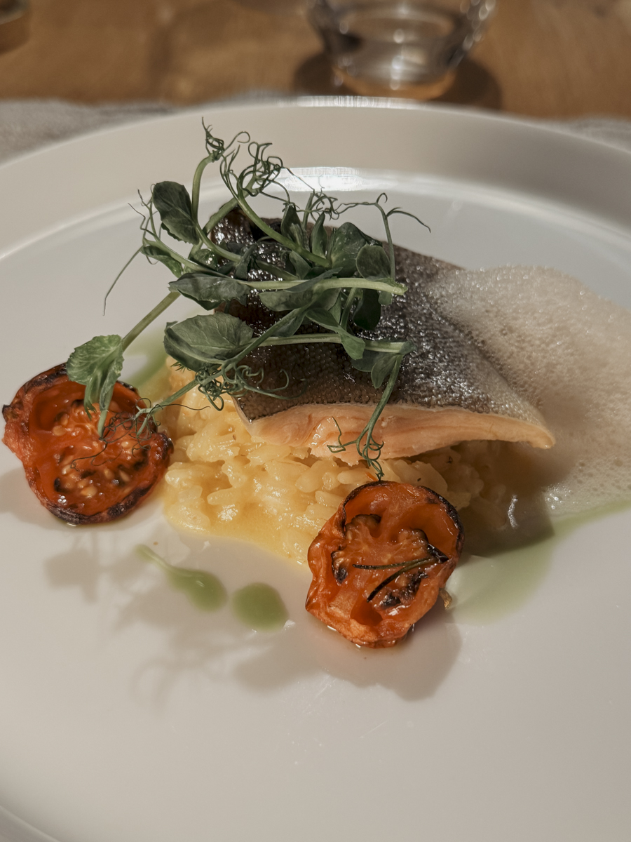 COCOtravel 202501 Moargut Abendessen 12