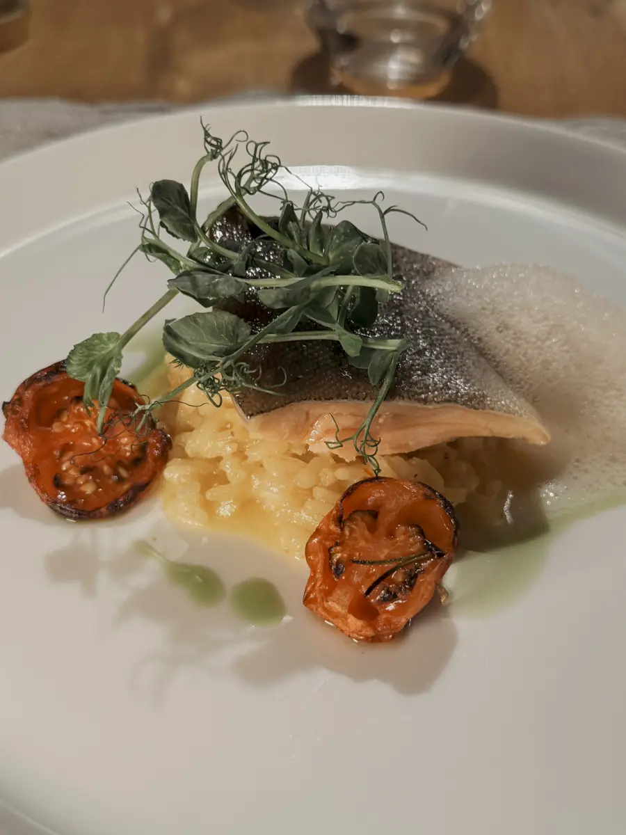 COCOtravel 202501 Moargut Abendessen 12