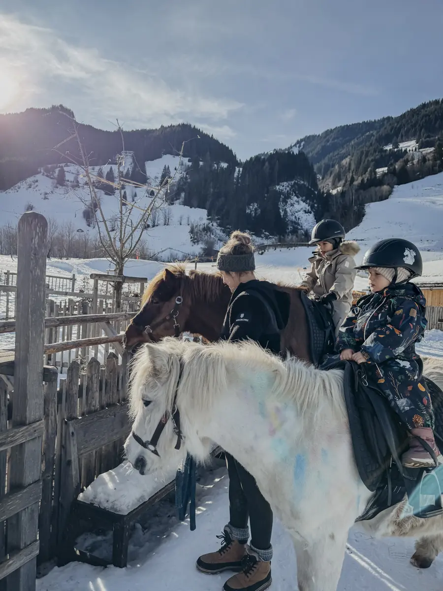 COCOtravel 202501 Moargut Ponyreiten 8