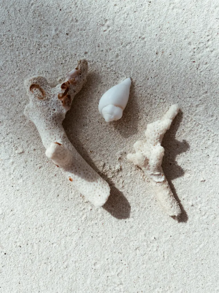 COCOtravel Oblu Select Lobigili Muscheln