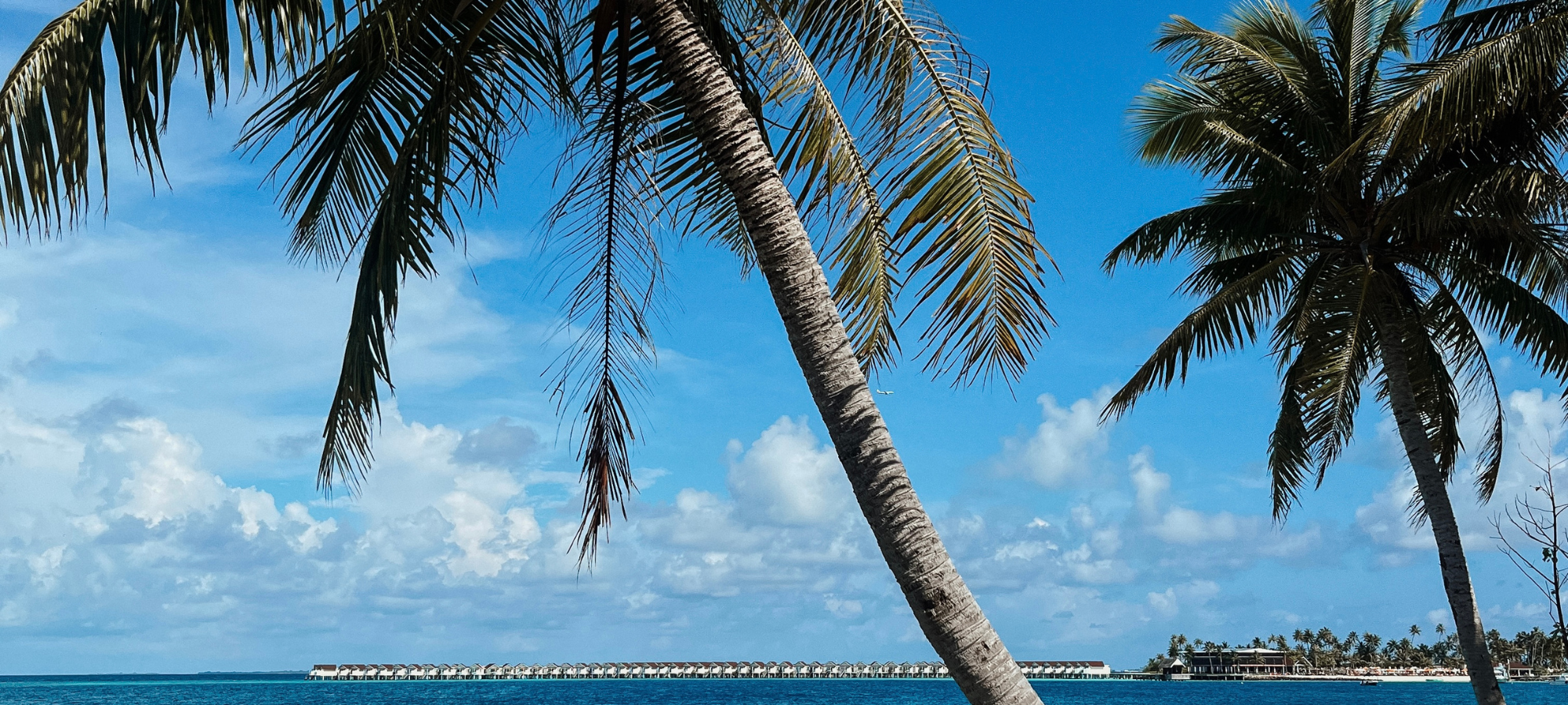 COCOtravel Oblu Select Lobigili Palmen 