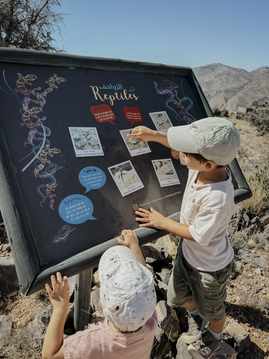 COCOtravel Oman Alila JabalAkhdar ButterflyWalk 12