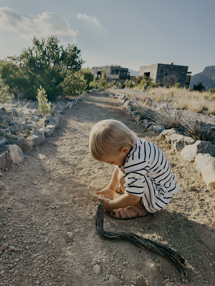 COCOtravel Oman Alila JabalAkhdar ButterflyWalk 2