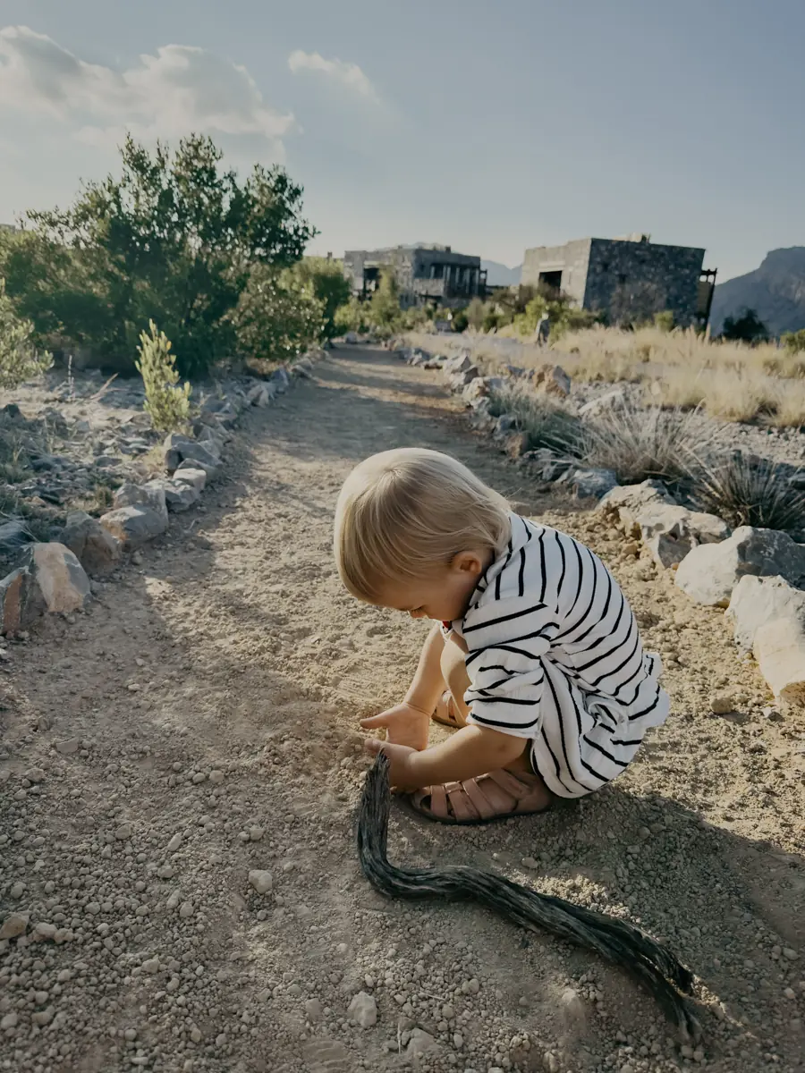 COCOtravel Oman Alila JabalAkhdar ButterflyWalk 2