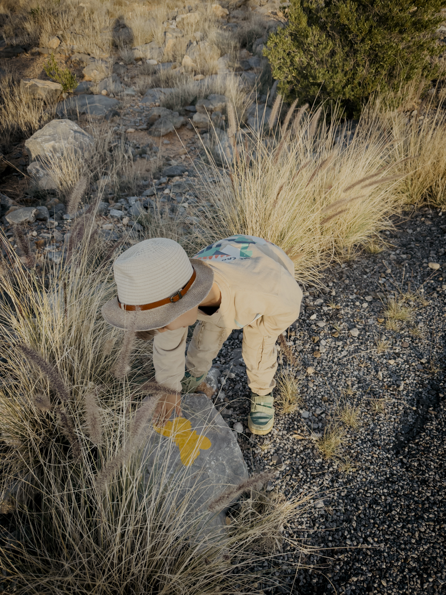 COCOtravel Oman Alila JabalAkhdar ButterflyWalk 4
