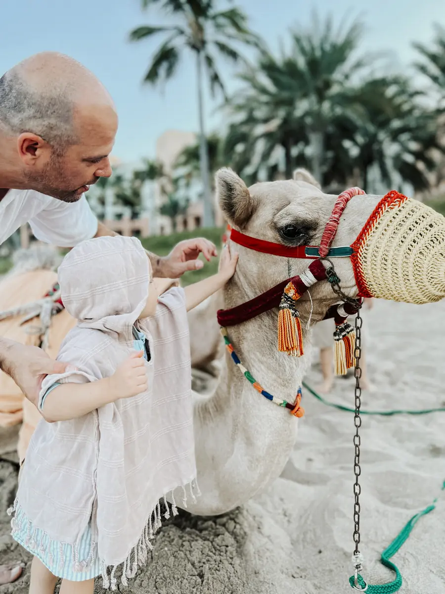 COCOtravel Oman ShangriLa Kamelritt 3