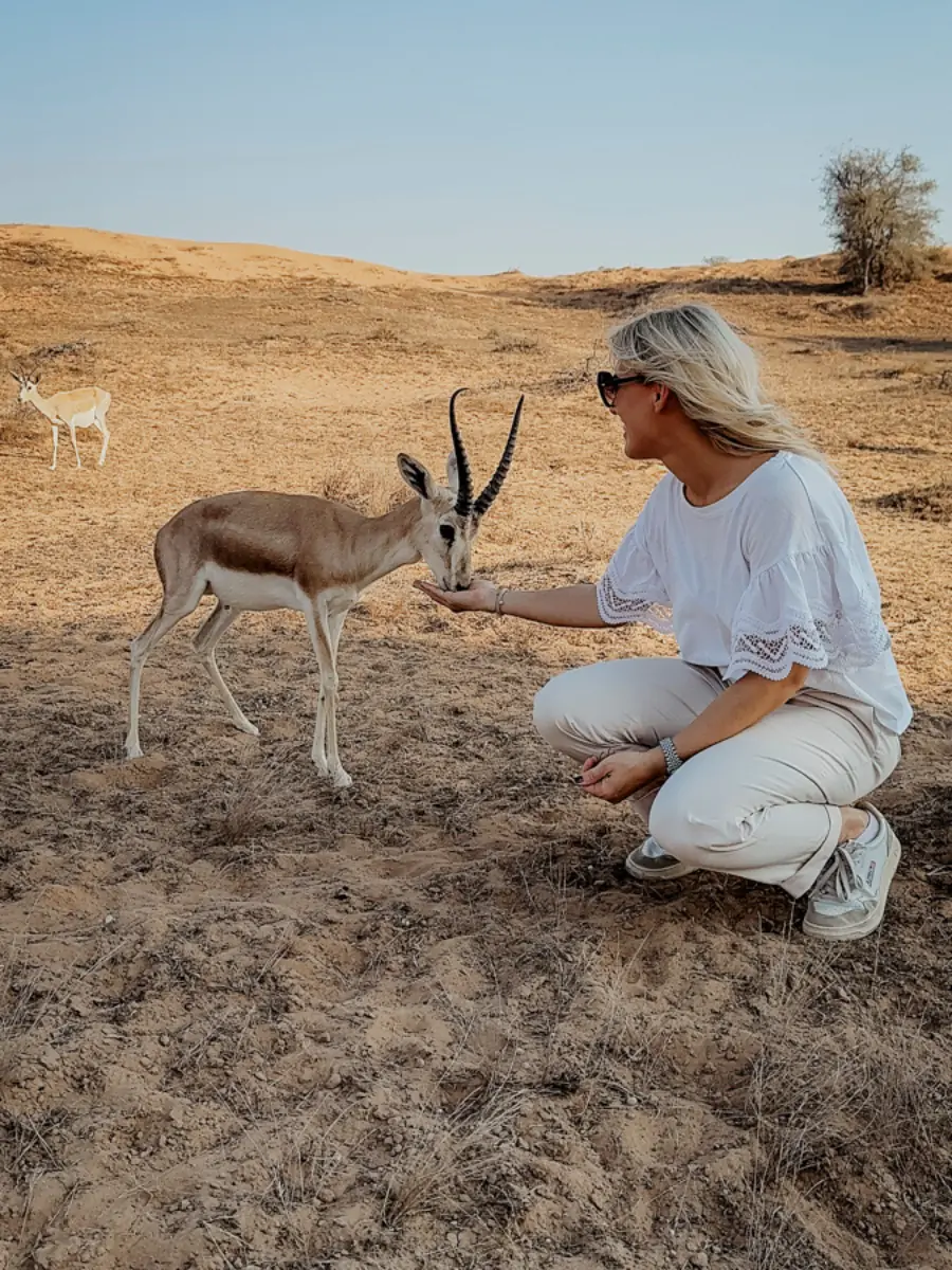 COCOtravel RAK RitzCarlton AlWadiDesert Wuestentour 5.jpg