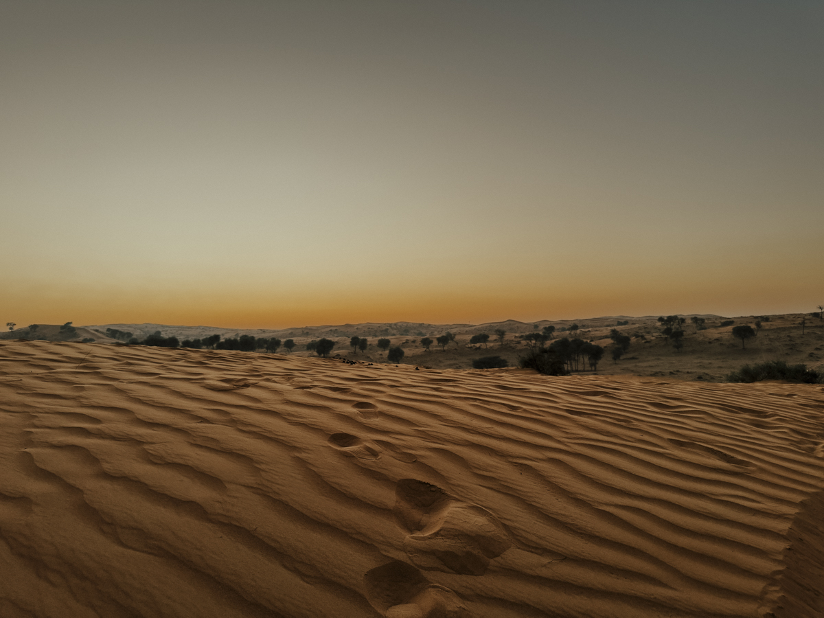 COCOtravel RAK RitzCarlton AlWadiDesert Wuestentour 9