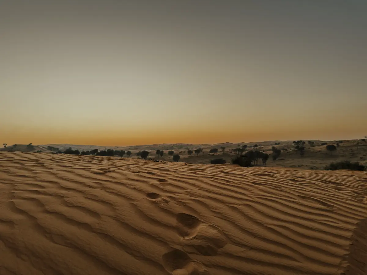 COCOtravel RAK RitzCarlton AlWadiDesert Wuestentour 9