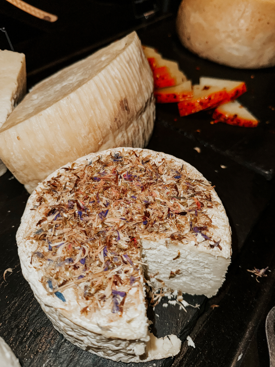 COCOtravel Sizilien Adler Abendessen 65 COCOtravel Sizilien Adler Abendessen 65