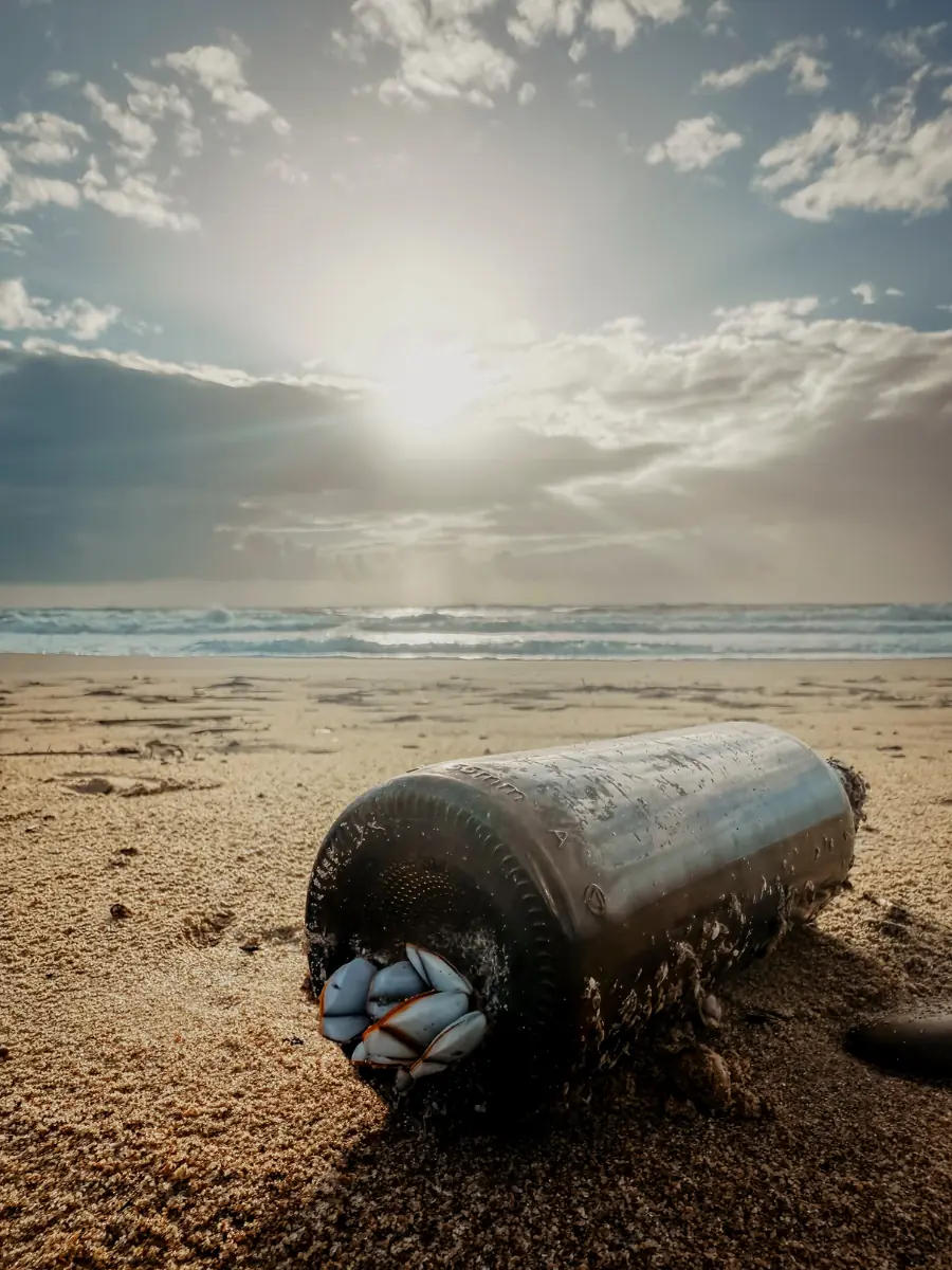 COCOtravel Sizilien Adler Beach