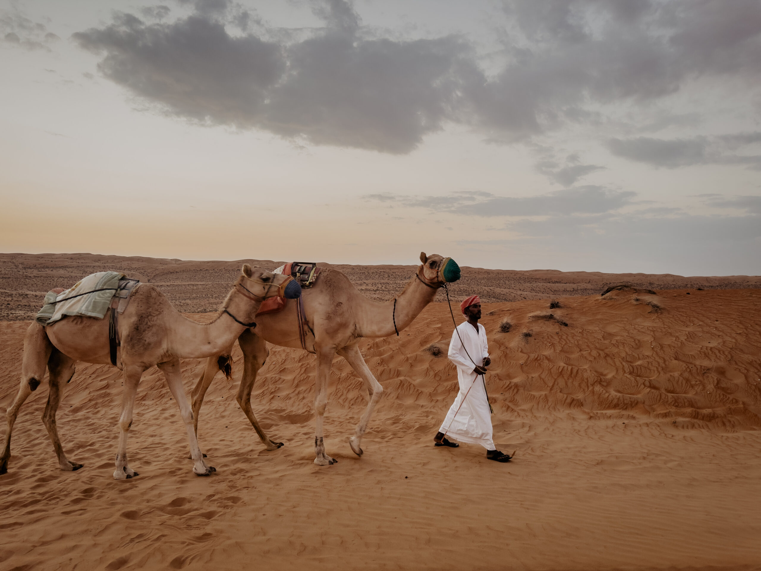 CanvasClub Deal 2 scaled CanvasClub Deal 2 scaled