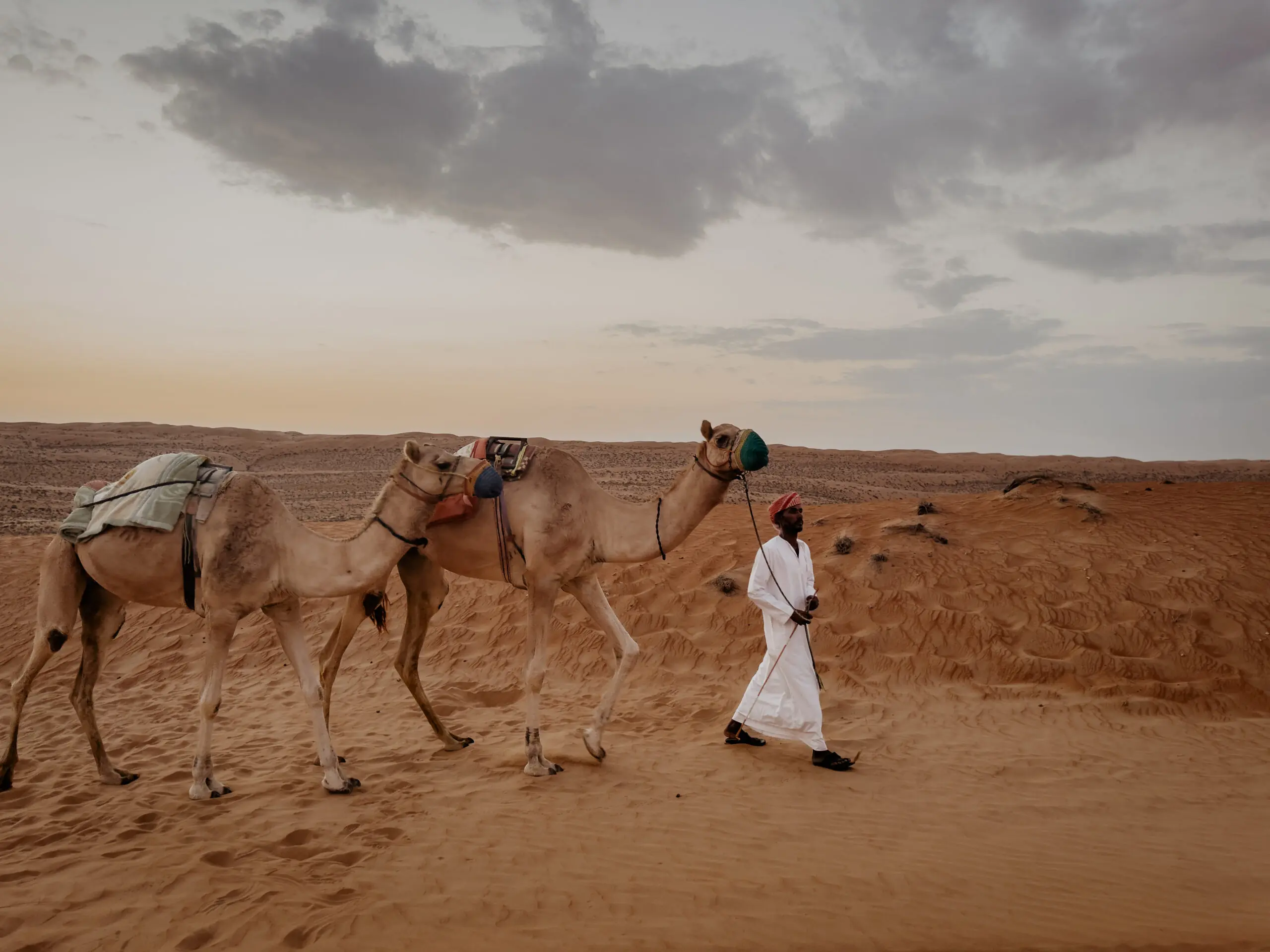 CanvasClub Deal 2 scaled