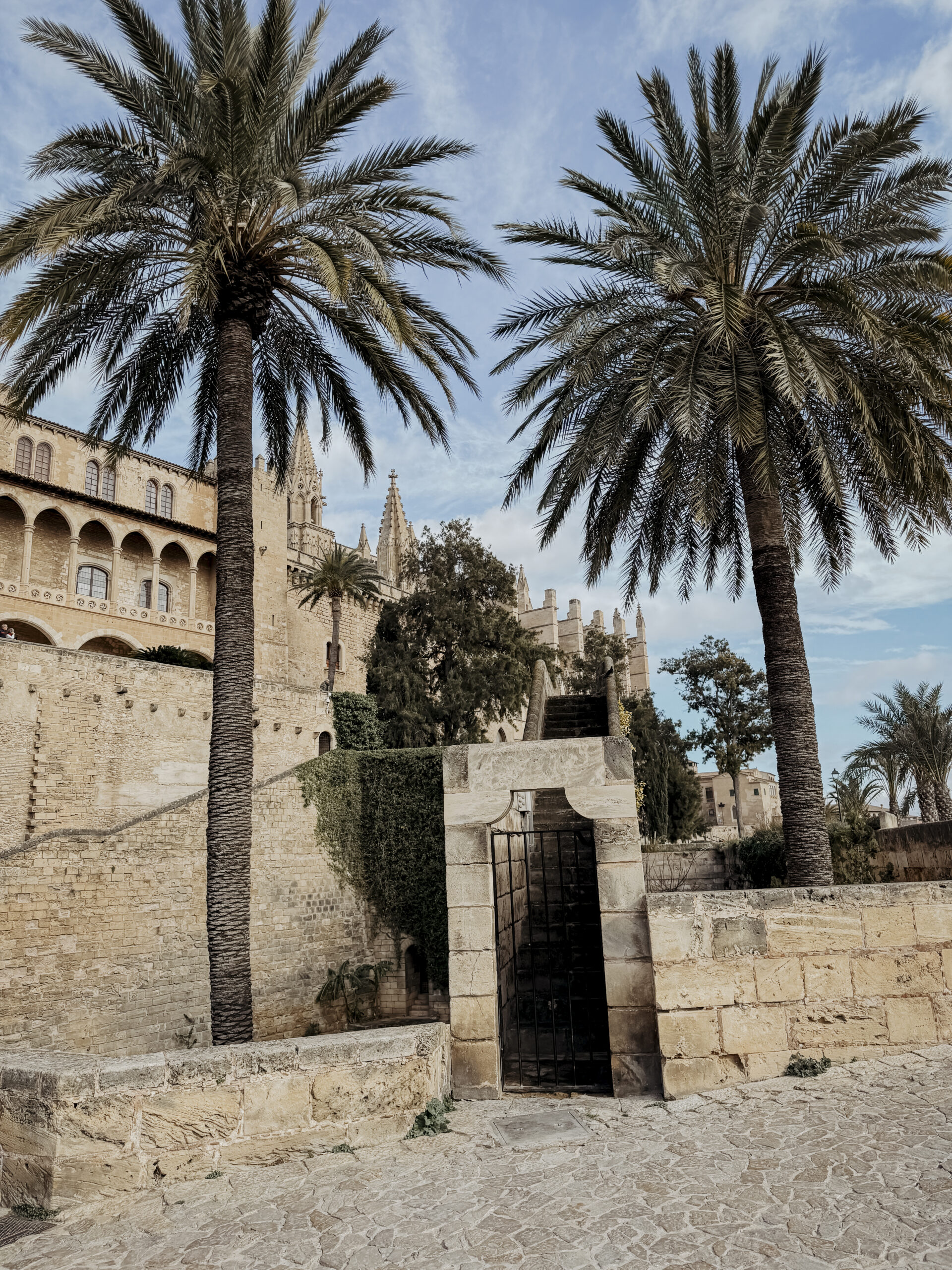 COCOtravel Mallorca VillaRiviera Palma 6 scaled COCOtravel Mallorca VillaRiviera Palma 6 scaled