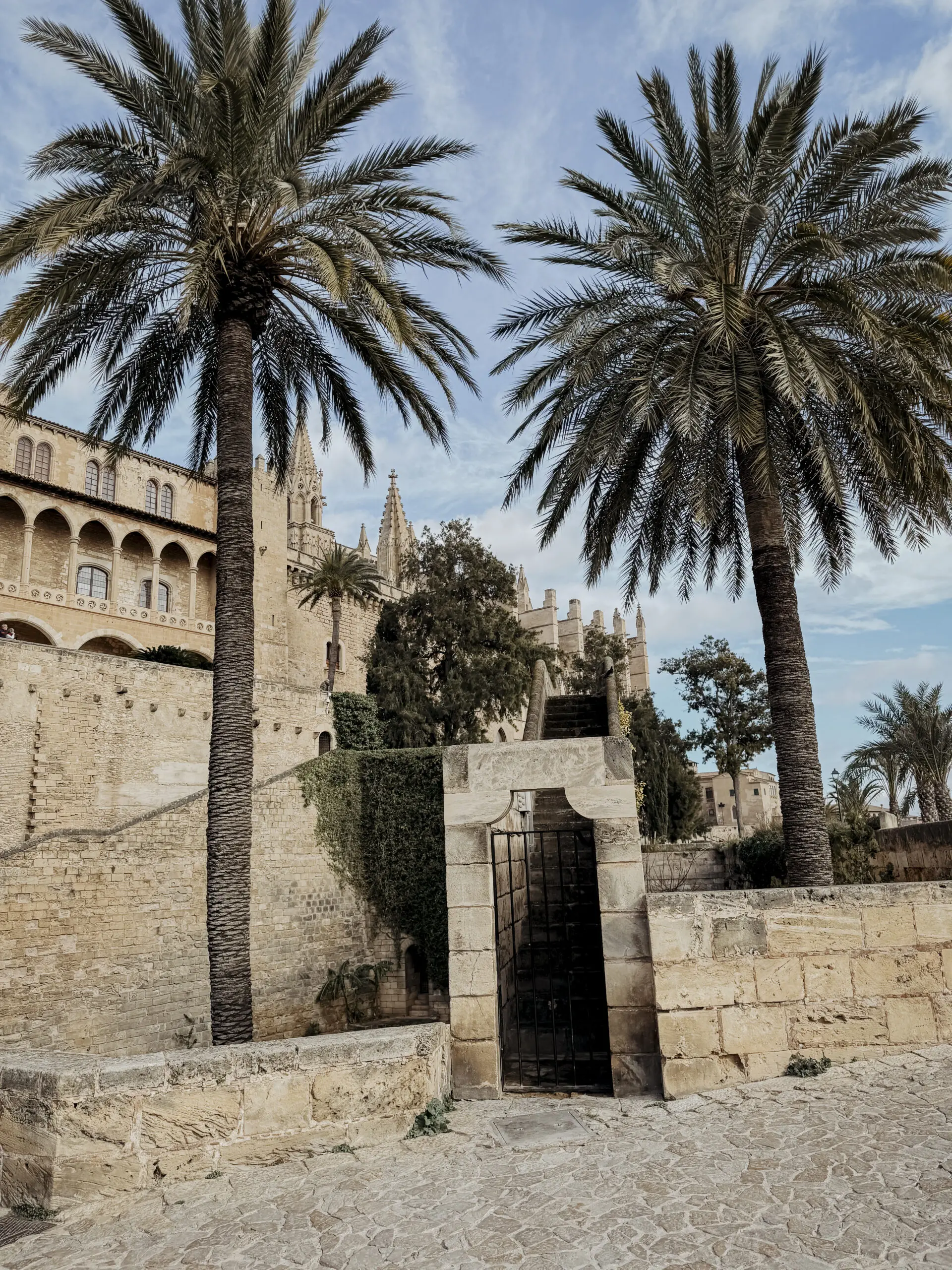 COCOtravel Mallorca VillaRiviera Palma 6 scaled COCOtravel Mallorca VillaRiviera Palma 6 scaled