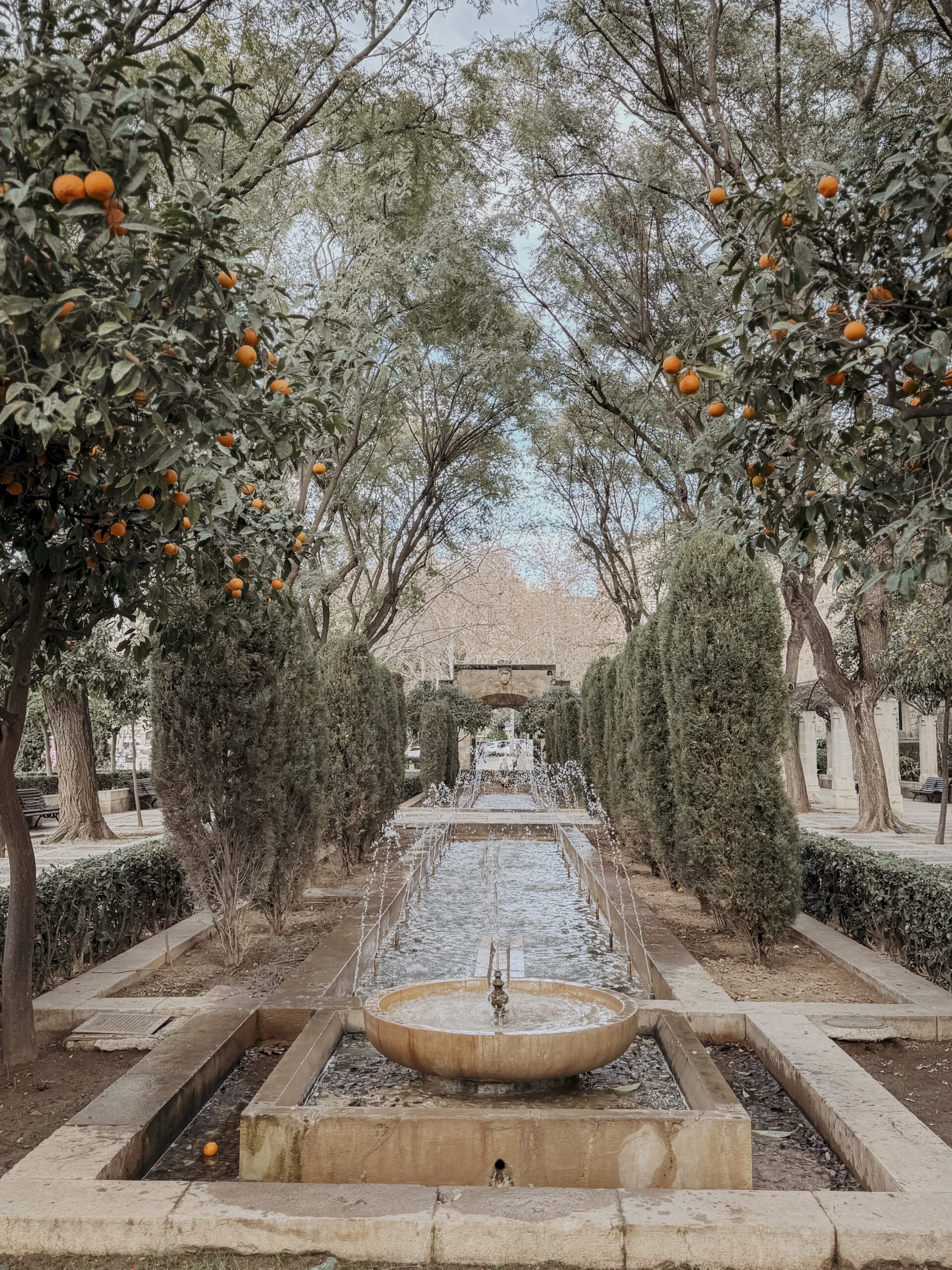 COCOtravel Mallorca VillaRiviera Palma 8 scaled COCOtravel Mallorca VillaRiviera Palma 8 scaled