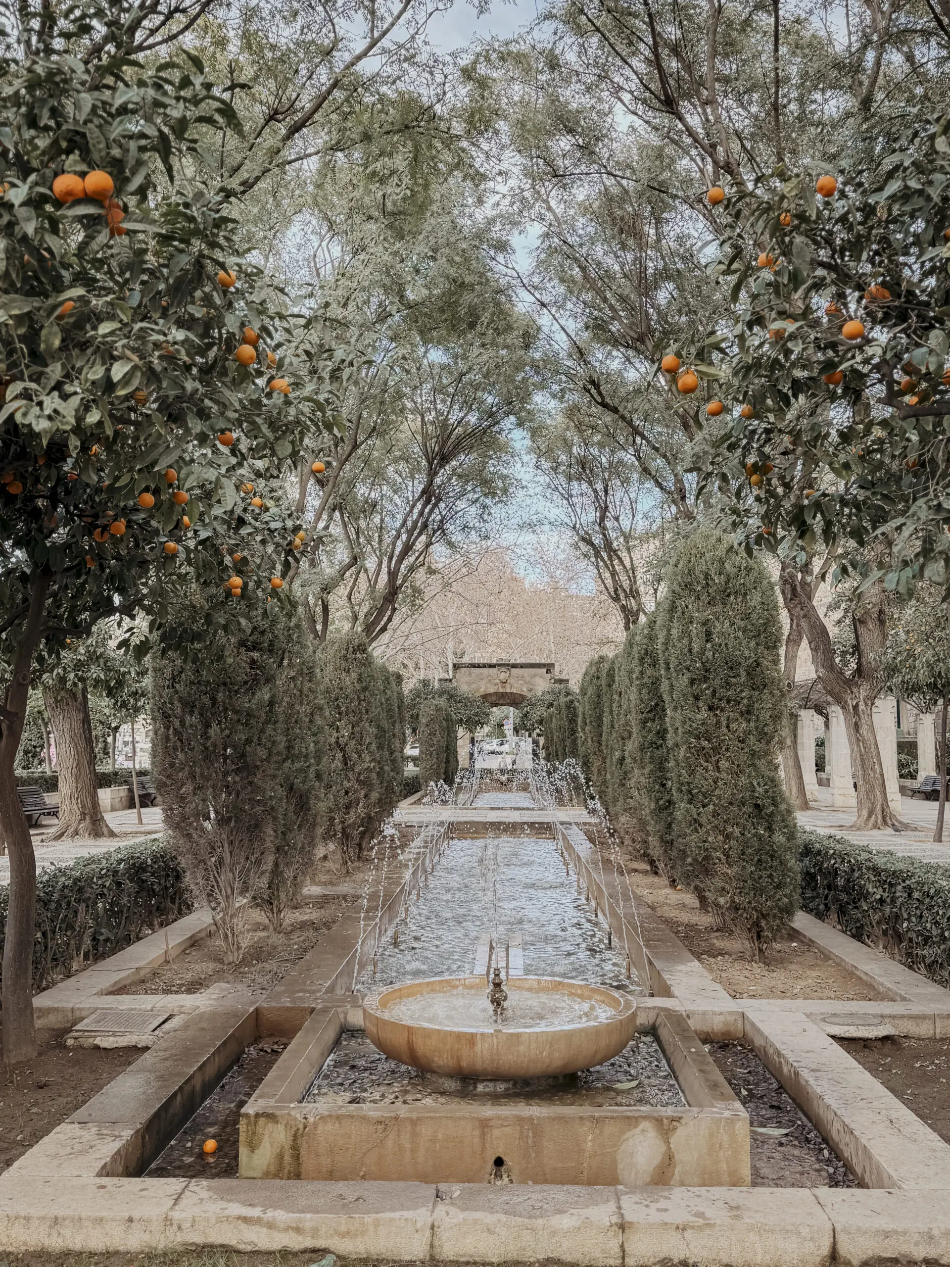 COCOtravel Mallorca VillaRiviera Palma 8 scaled COCOtravel Mallorca VillaRiviera Palma 8 scaled