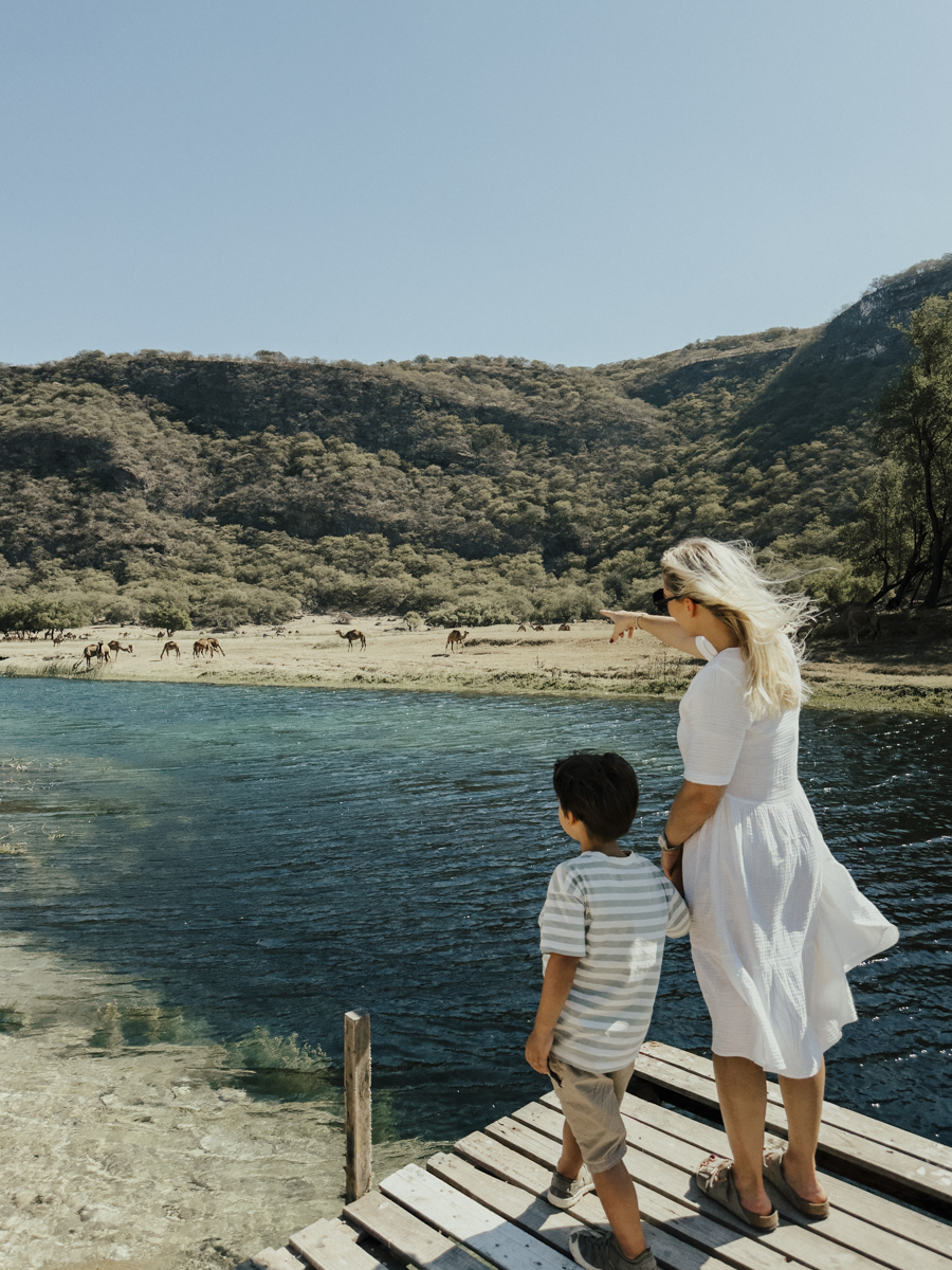 COCOtravel Oman AlilaHinuBay AusflugWadiDarbat 12 COCOtravel Oman AlilaHinuBay AusflugWadiDarbat 12