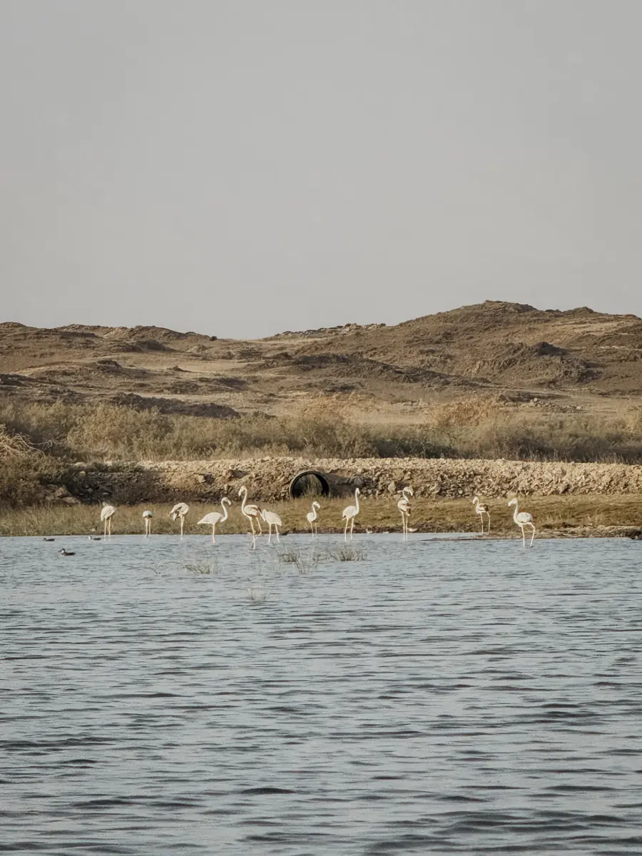 COCOtravel Oman AlilaHinuBay Kajak 2