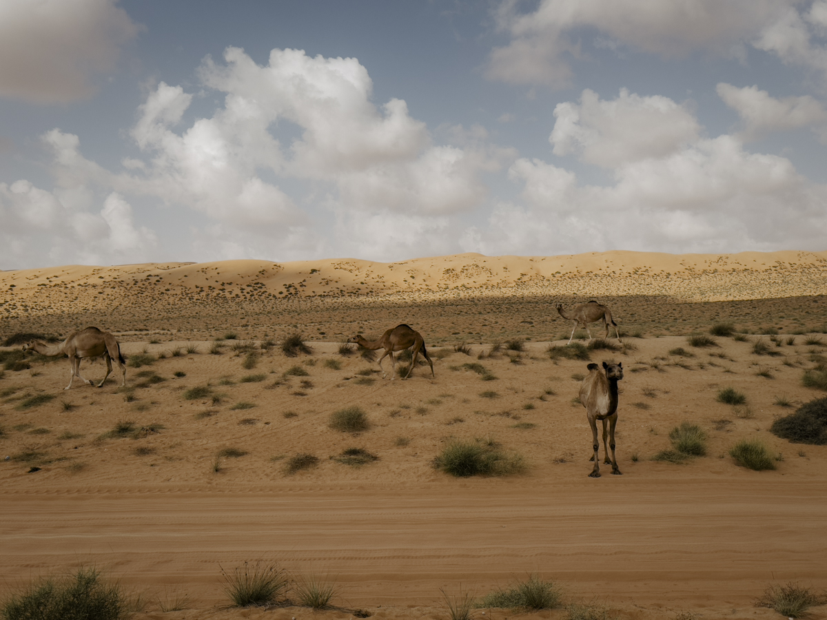 COCOtravel Oman CanvasClub Abreise 2