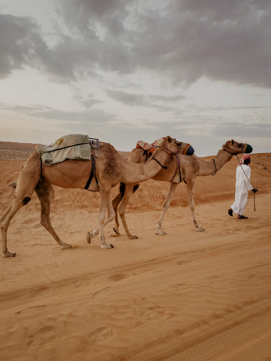 COCOtravel Oman CanvasClub Anreise