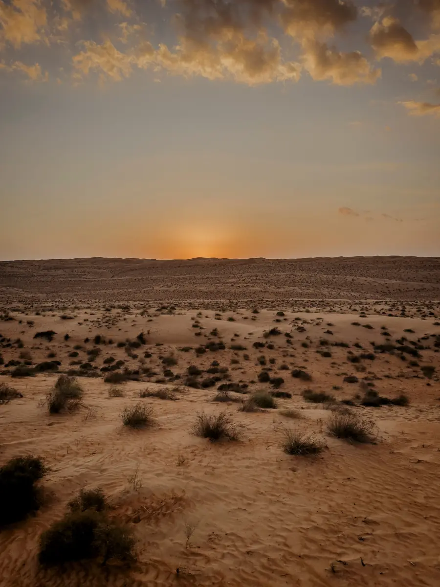 COCOtravel Oman CanvasClub Anreise3