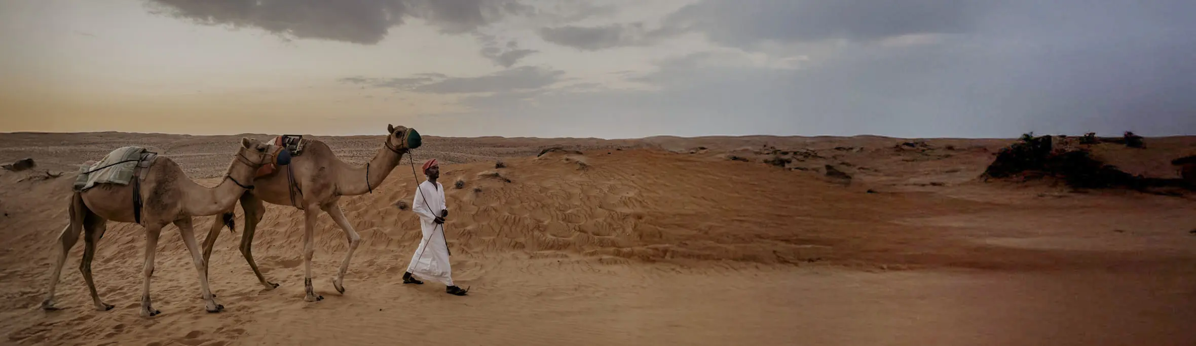 COCOtravel Oman CanvasClub Anreise Kamelritt 8 Header 2