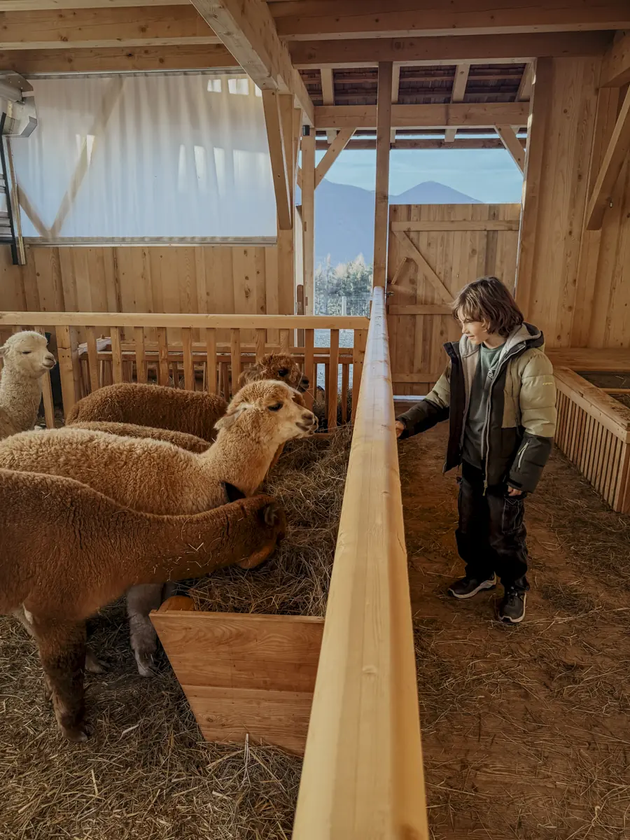 COCOtravel Suedtirol AkiPlose Streichelzoo 4