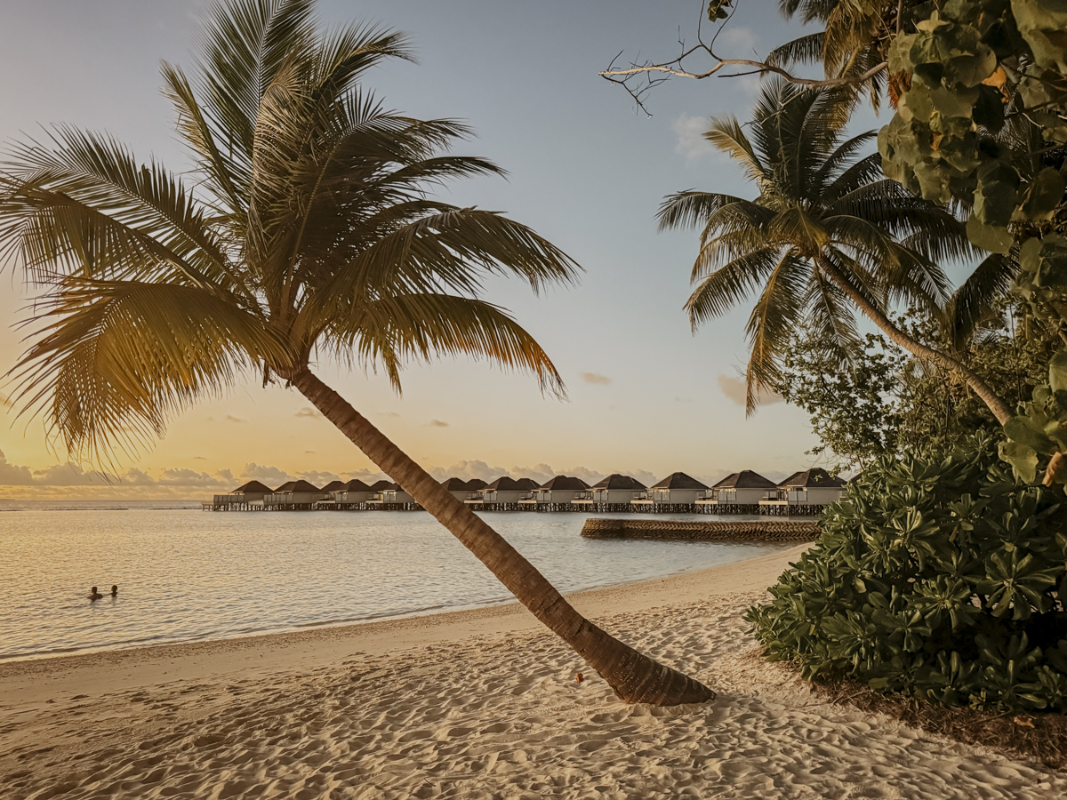 COCOtravel Malediven Nova  83