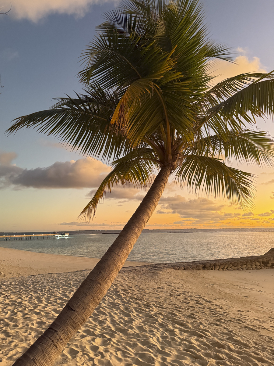 COCOtravel Malediven Nova Palme81