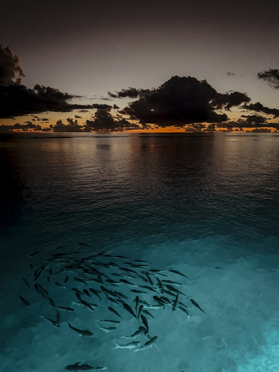 COCOtravel Malediven Nova Sunset 133