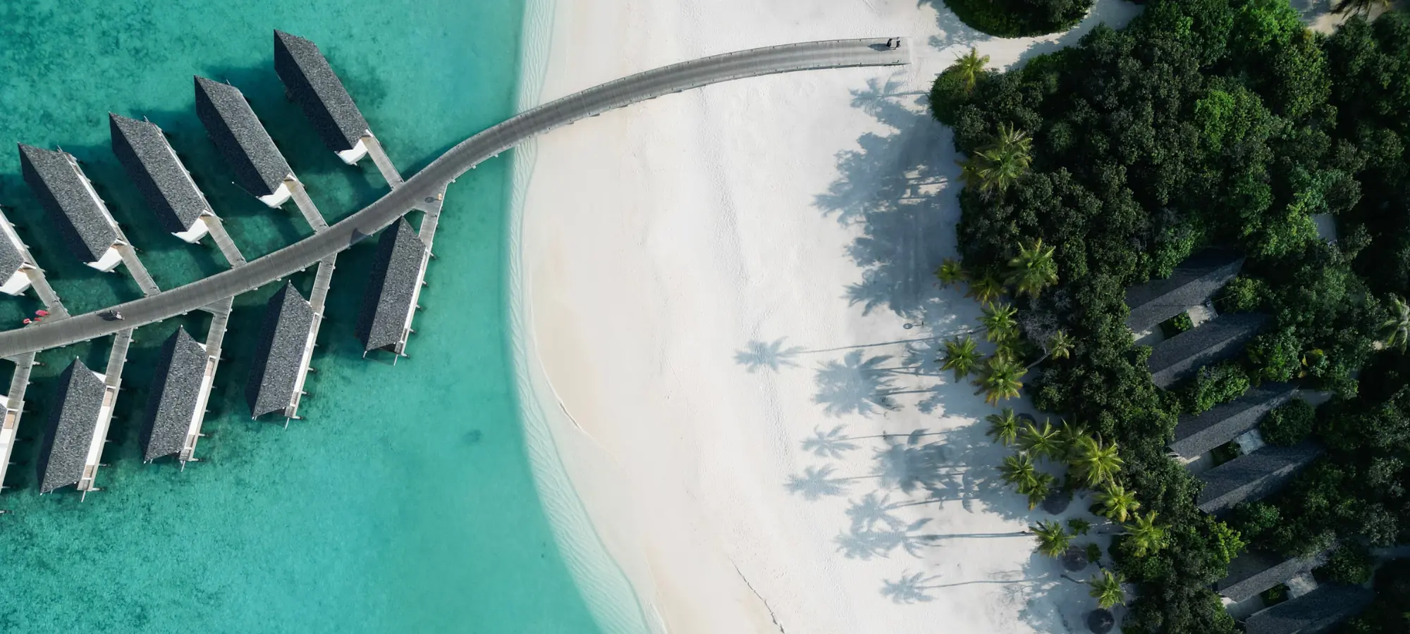 COCOtravel Malediven Raayabyatmosphere Headerbild
