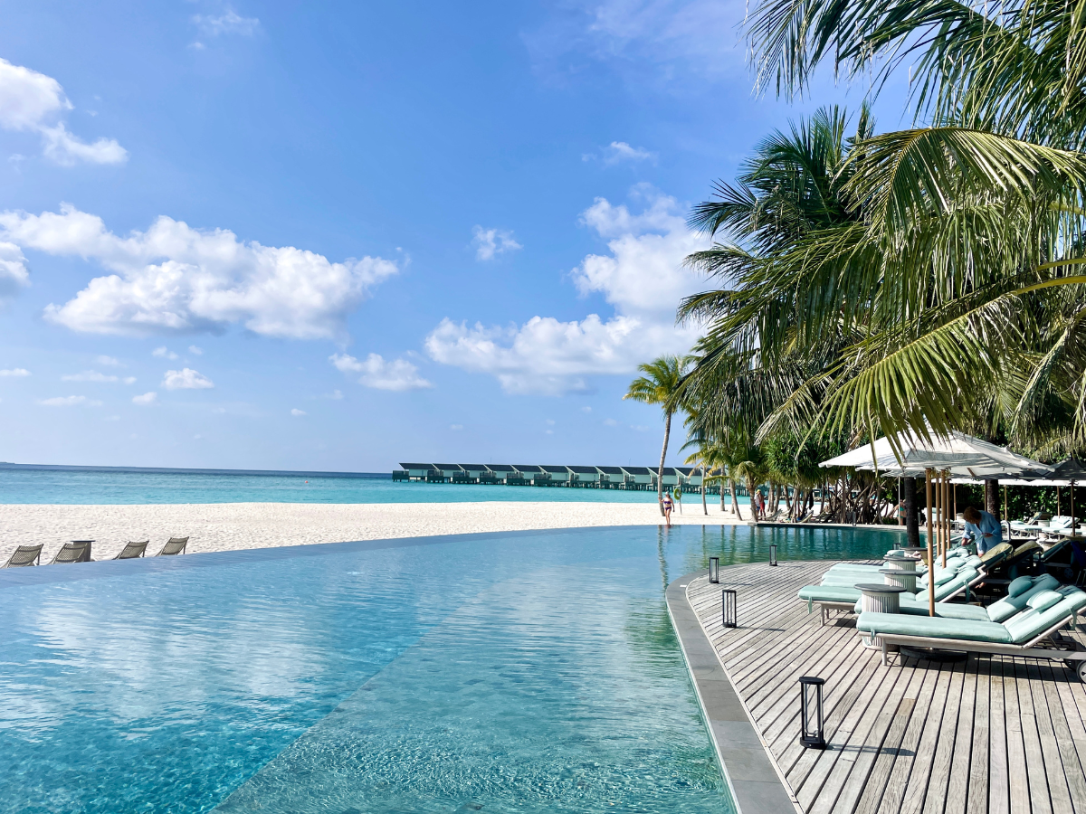 COCOtravel Malediven Raayabyatmosphere PoolmitPalmen COCOtravel Malediven Raayabyatmosphere PoolmitPalmen