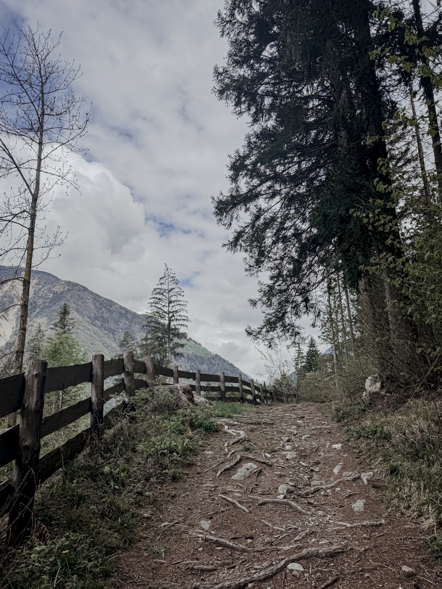 COCOtravel Suedtirol OLM Wanderung 4 COCOtravel Suedtirol OLM Wanderung 4