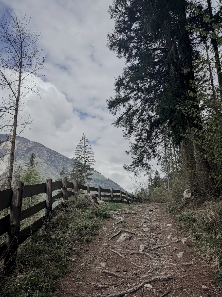 COCOtravel Suedtirol OLM Wanderung 4