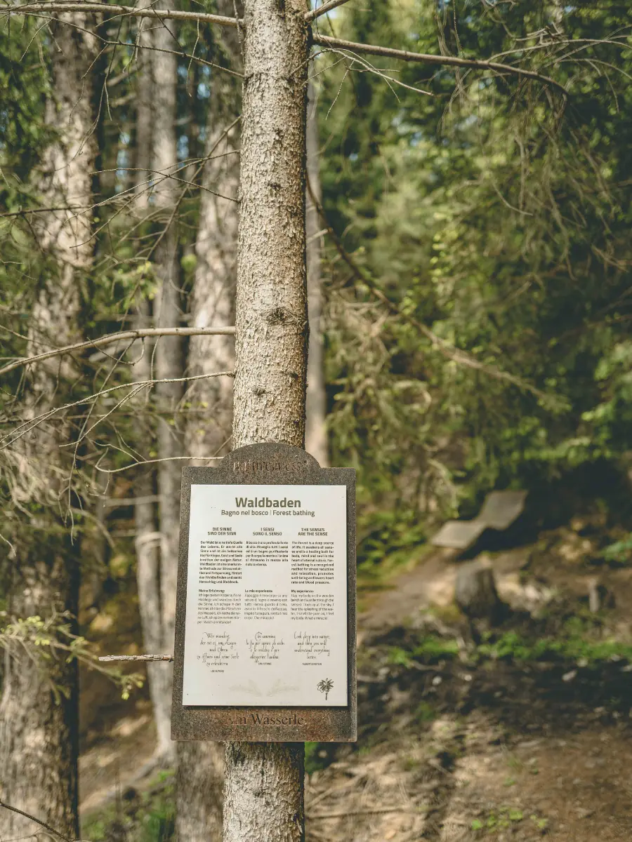 COCOTravel Luesnerhof Luesen Hotel3