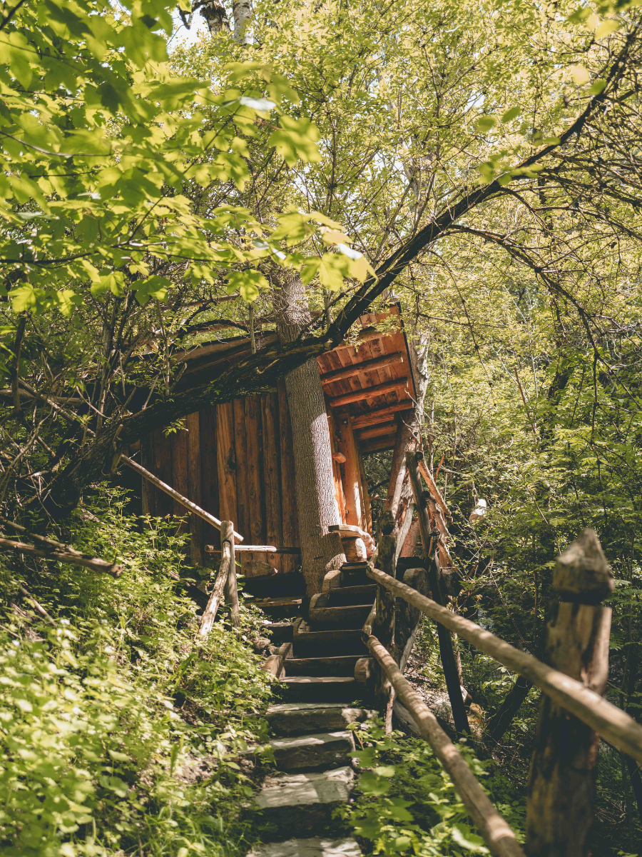 COCOTravel Luesnerhof Luesen Wellness 22