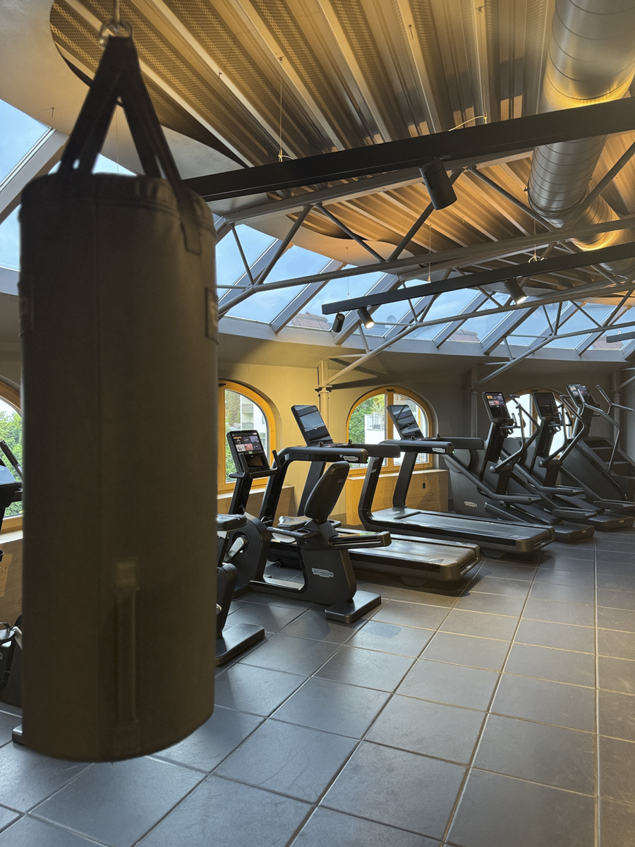 COCOtravel Alpina alpendorf stjohann gym boxsack